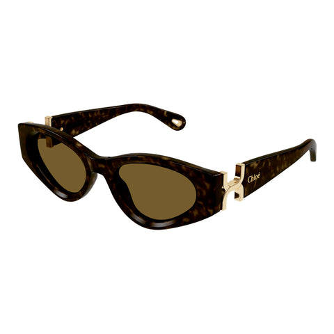 Chloe Ch0259s Havana Female Cat-Eye Sunglasses | Eyewear Index