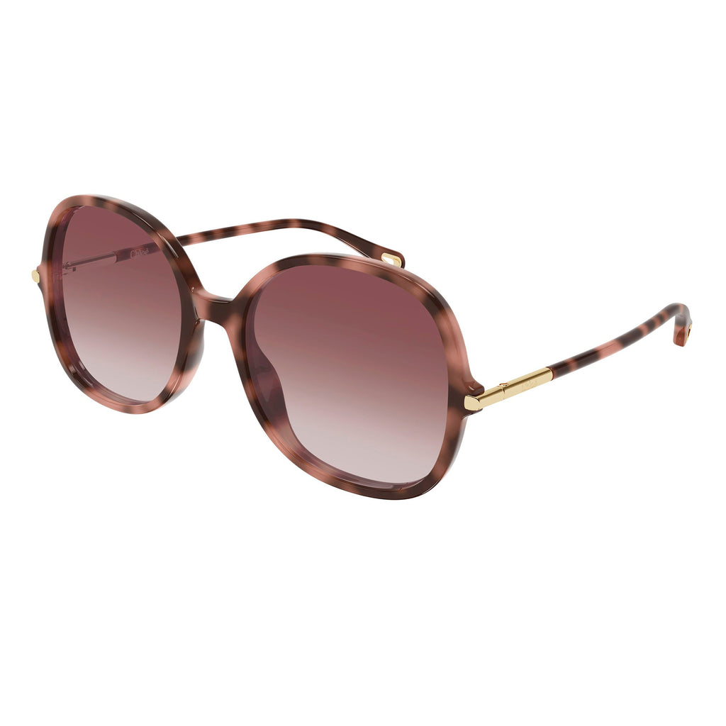 Chloe Ch0383s Havana Female Round Sunglasses | Eyewear Index