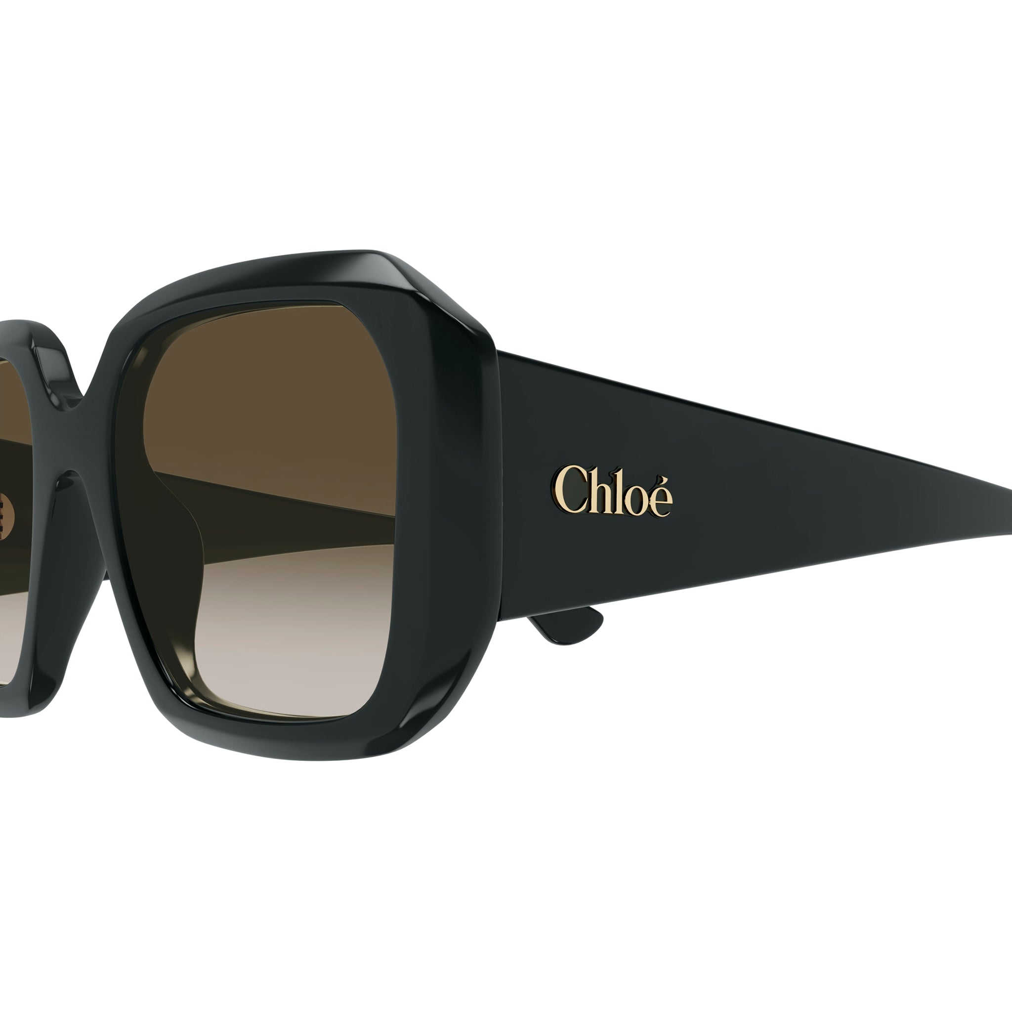 Chloe Ch0300s Green Female Rectangle Sunglasses | Eyewear Index