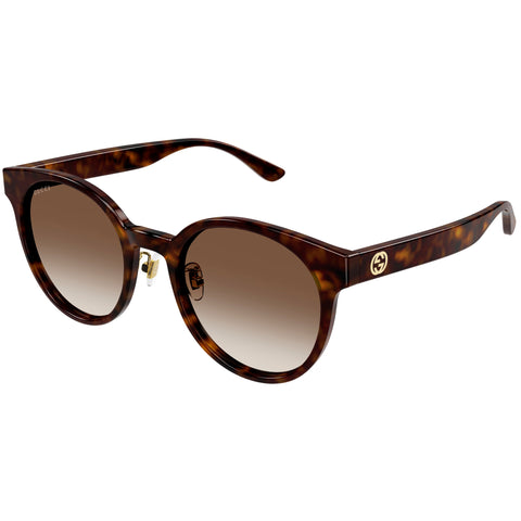 Gucci Gg1339sk Havana Female Round Sunglasses | Eyewear Index