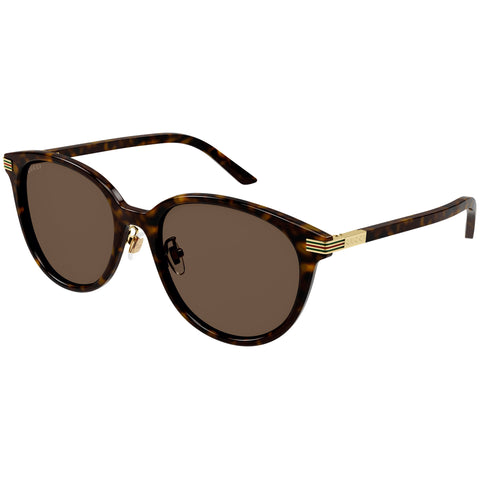 Gucci Gg1452sk Havana Female Round Sunglasses | Eyewear Index