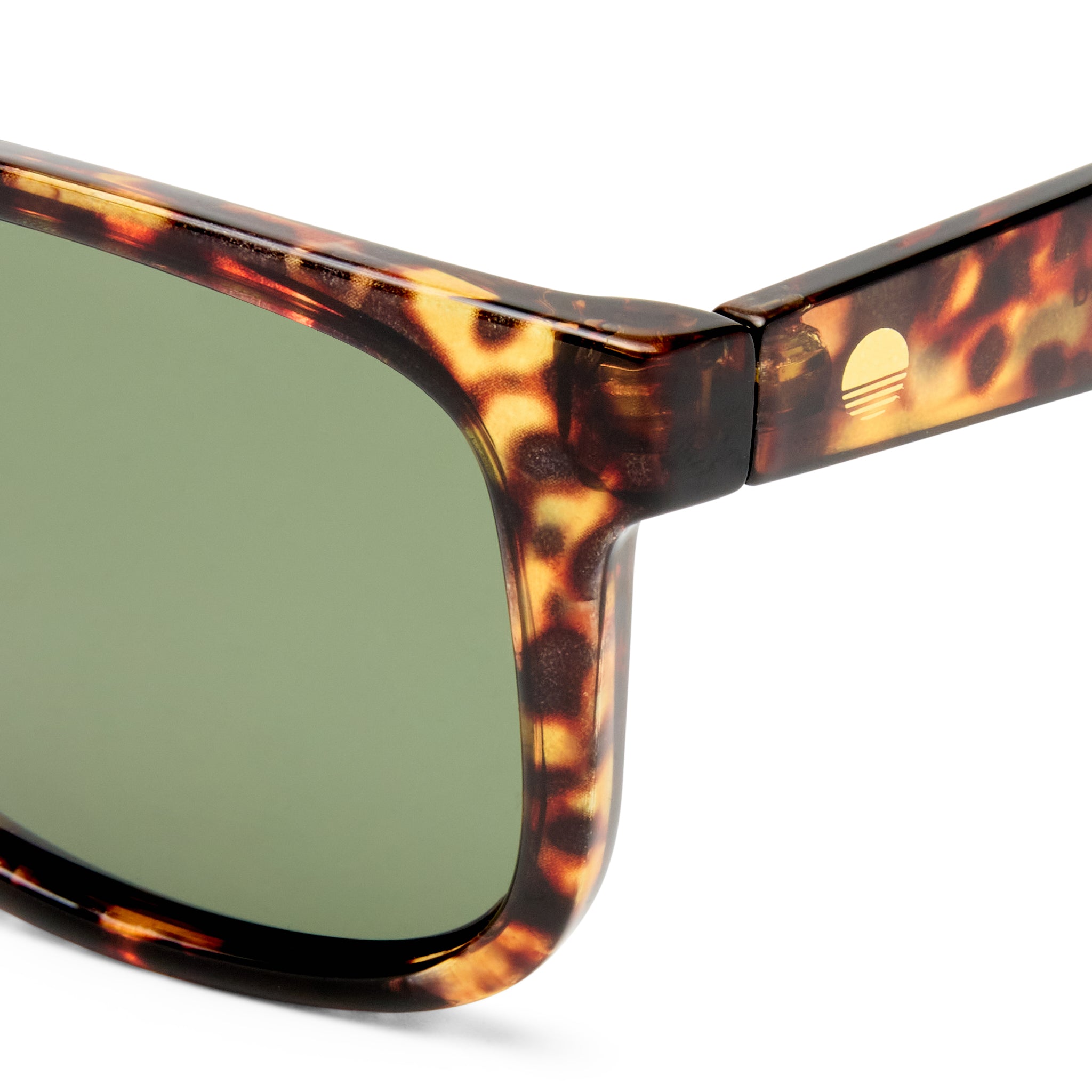 Solarized Classic Square Dark Tort Male D-Frame Sunglasses | Eyewear Index