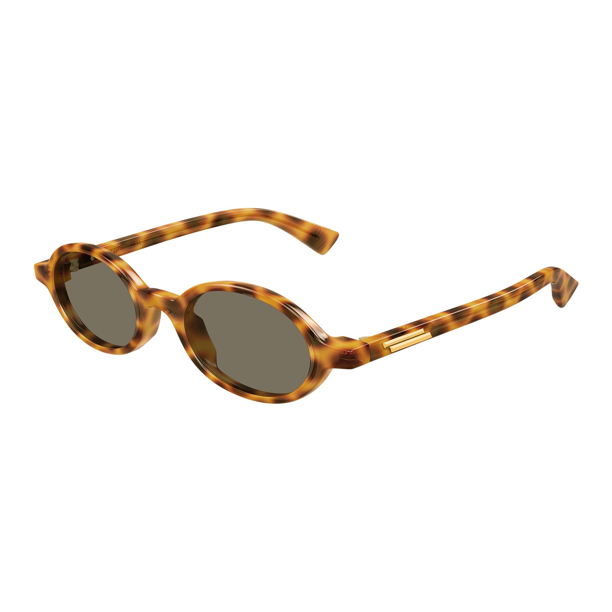 Bottega Veneta Bv1388s Havana Uni-Sex Round Sunglasses | Eyewear Index