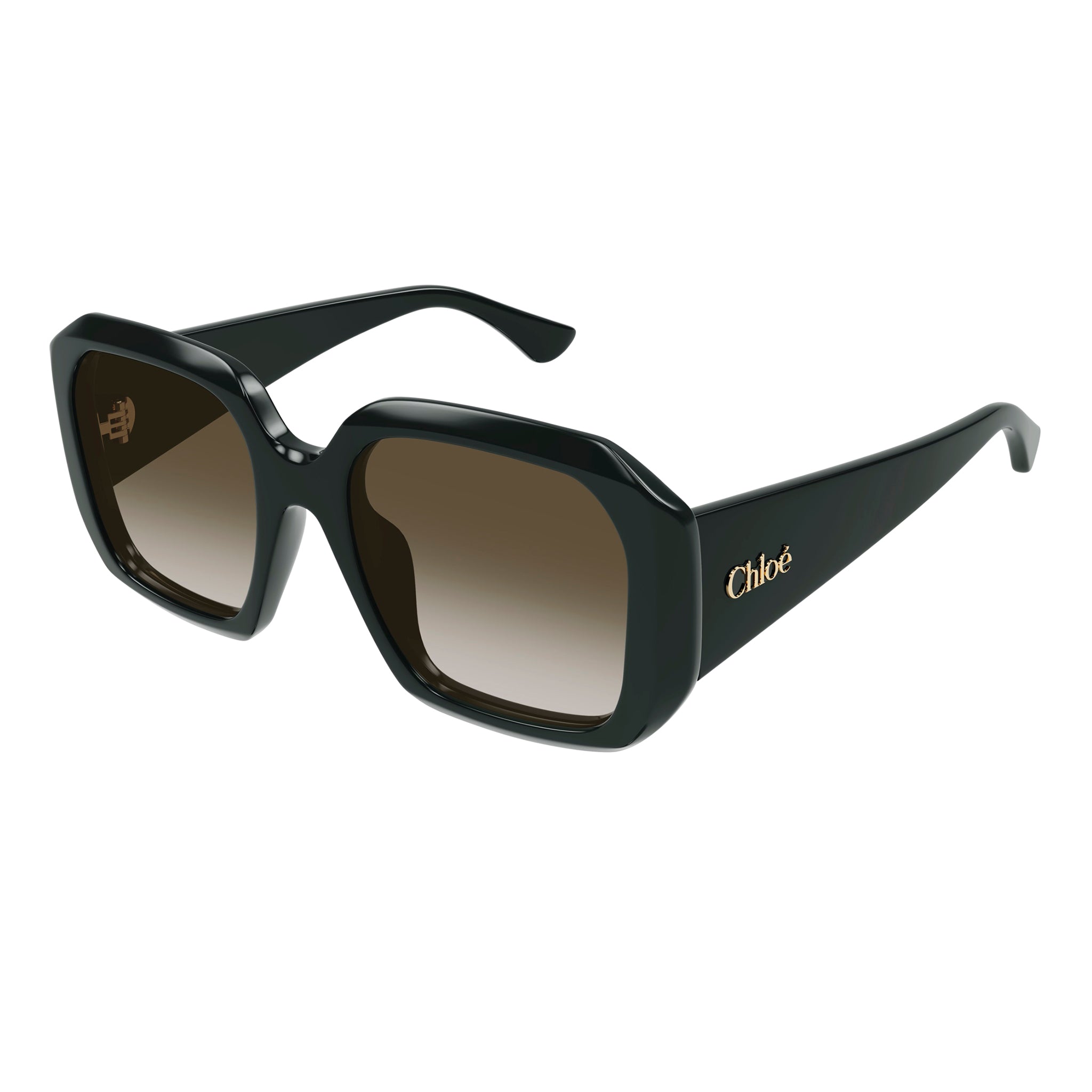 Chloe Ch0300s Green Female Rectangle Sunglasses | Eyewear Index
