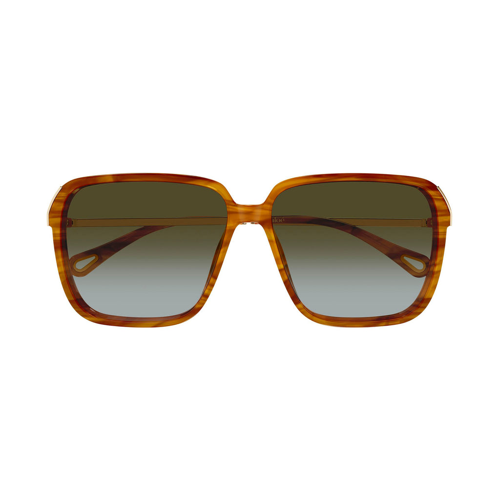 Chloe Ch0405s Havana Female Rectangle Sunglasses | Eyewear Index