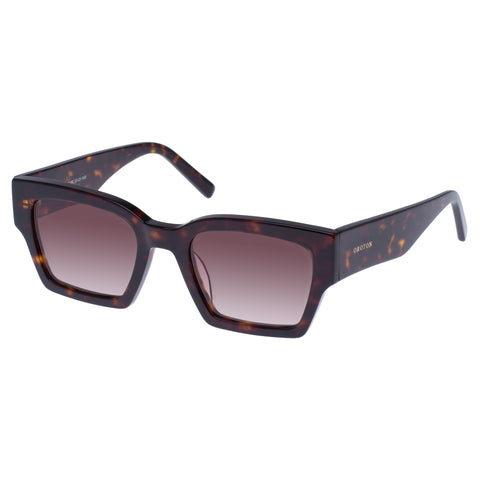 Oroton Stevie Signature Tort Female D-Frame Sunglasses | Eyewear Index