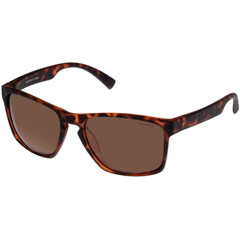 Cancer Council Holsworthy Tort Rubber Male D-Frame Sunglasses | Eyewear Index