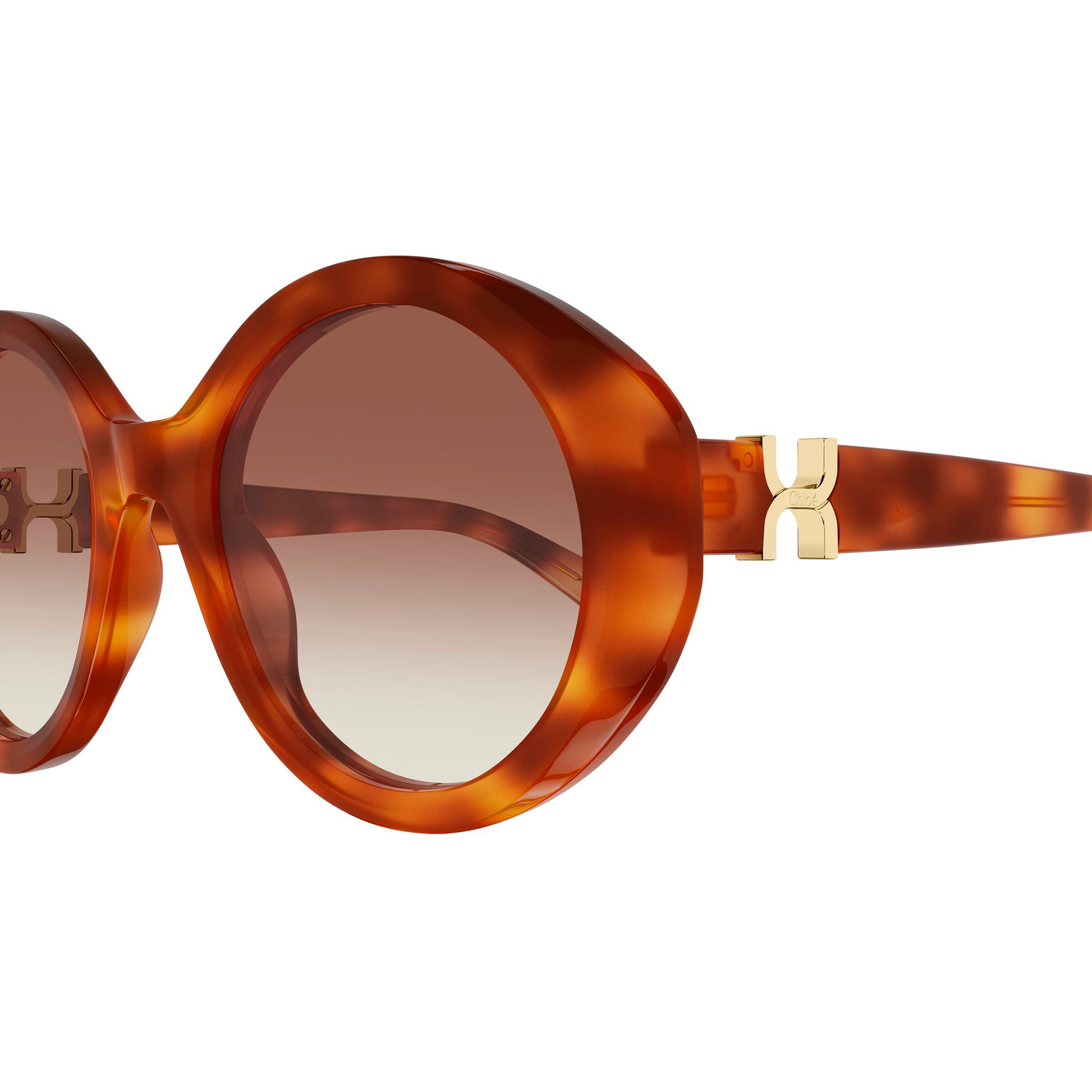 Chloe Ch0332s Havana Female Round Sunglasses | Eyewear Index