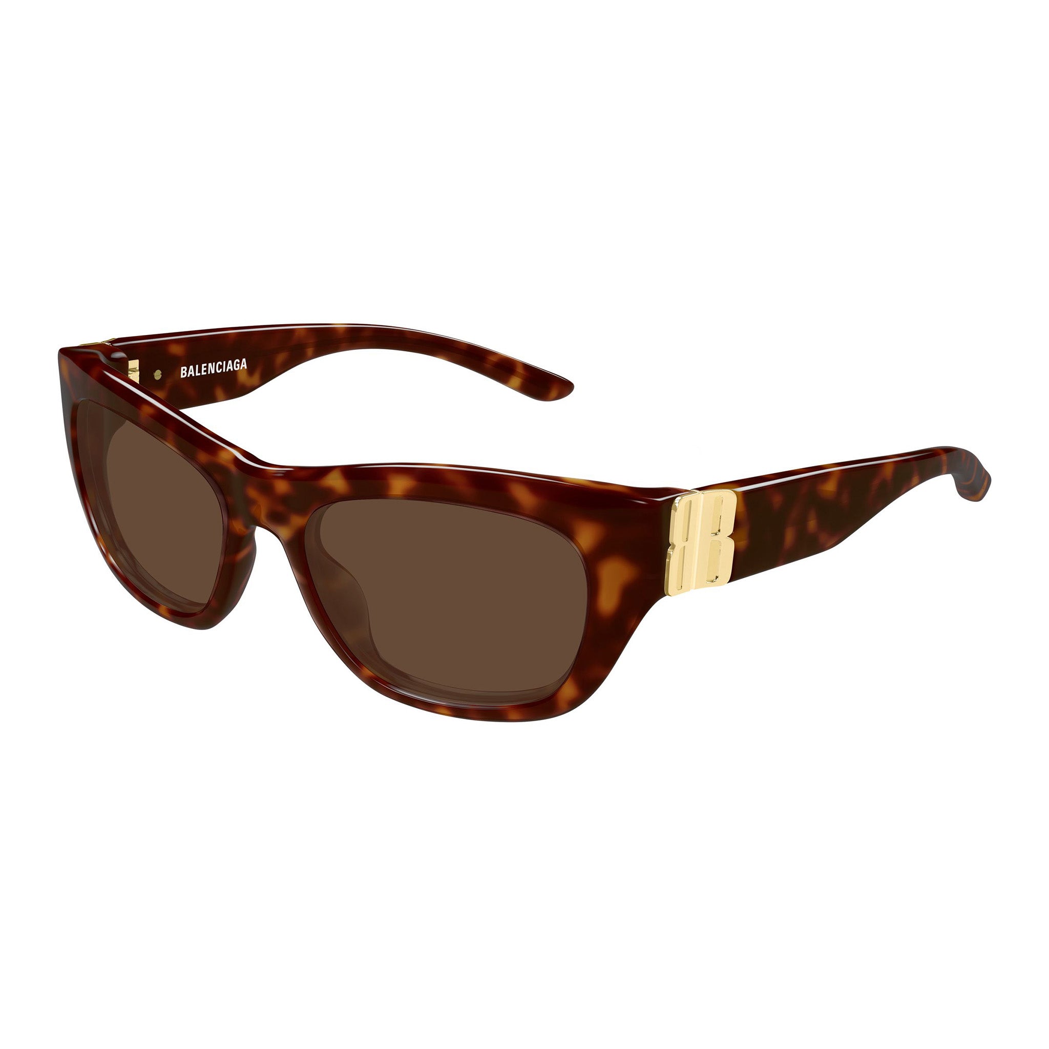 Balenciaga Bb0506s Havana Female Cat-Eye Sunglasses | Eyewear Index