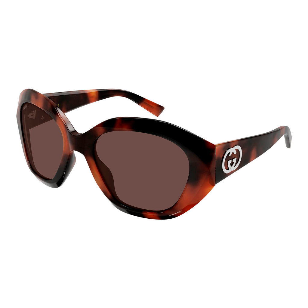 Gucci Gg2200s Havana Female Cat-Eye Sunglasses | Eyewear Index