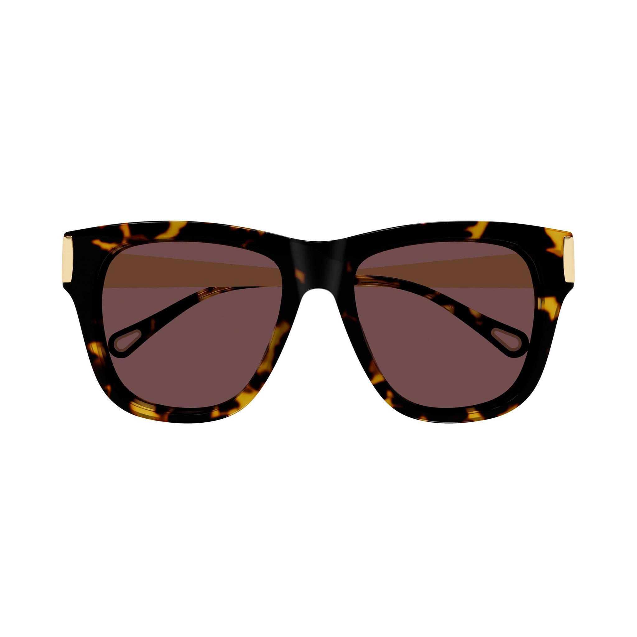 Chloe Ch0349s Havana Female Cat-Eye Sunglasses | Eyewear Index
