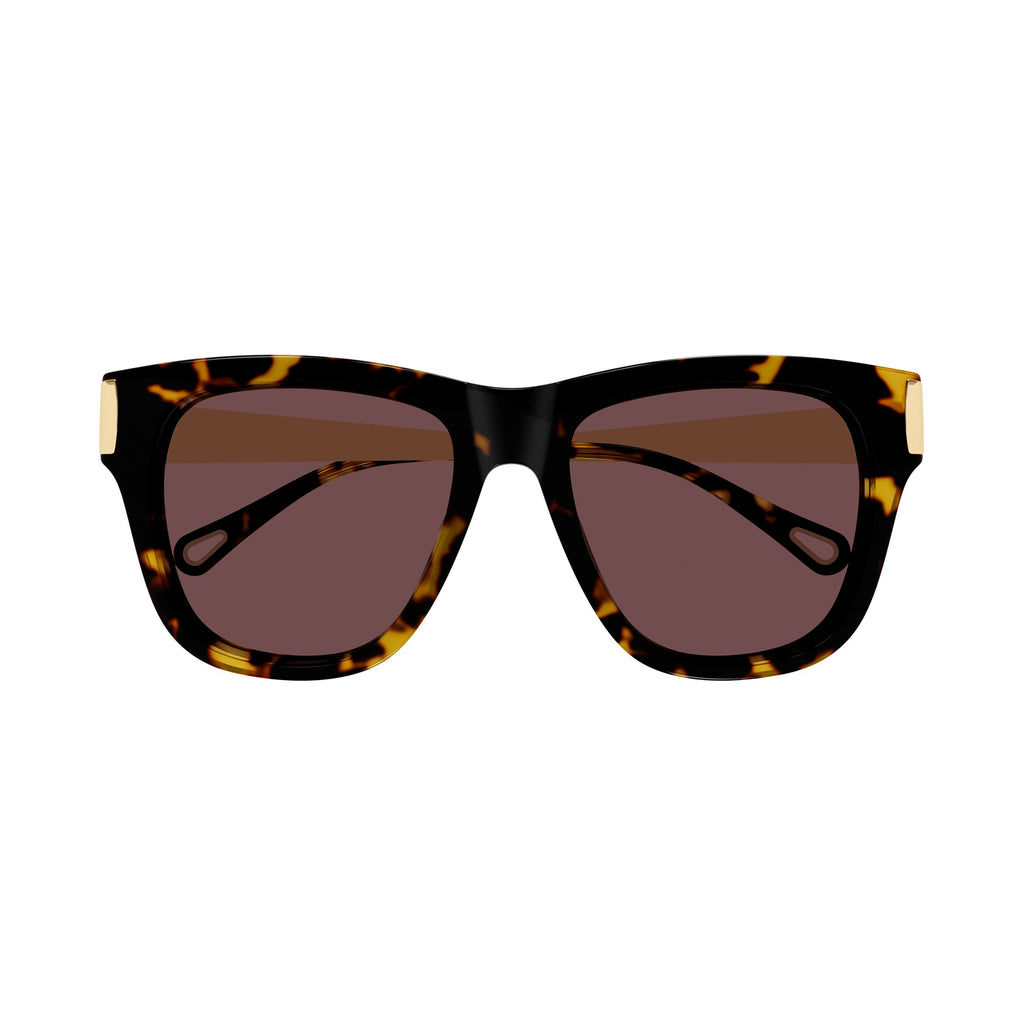 Chloe Ch0349s Havana Female Cat-Eye Sunglasses | Eyewear Index