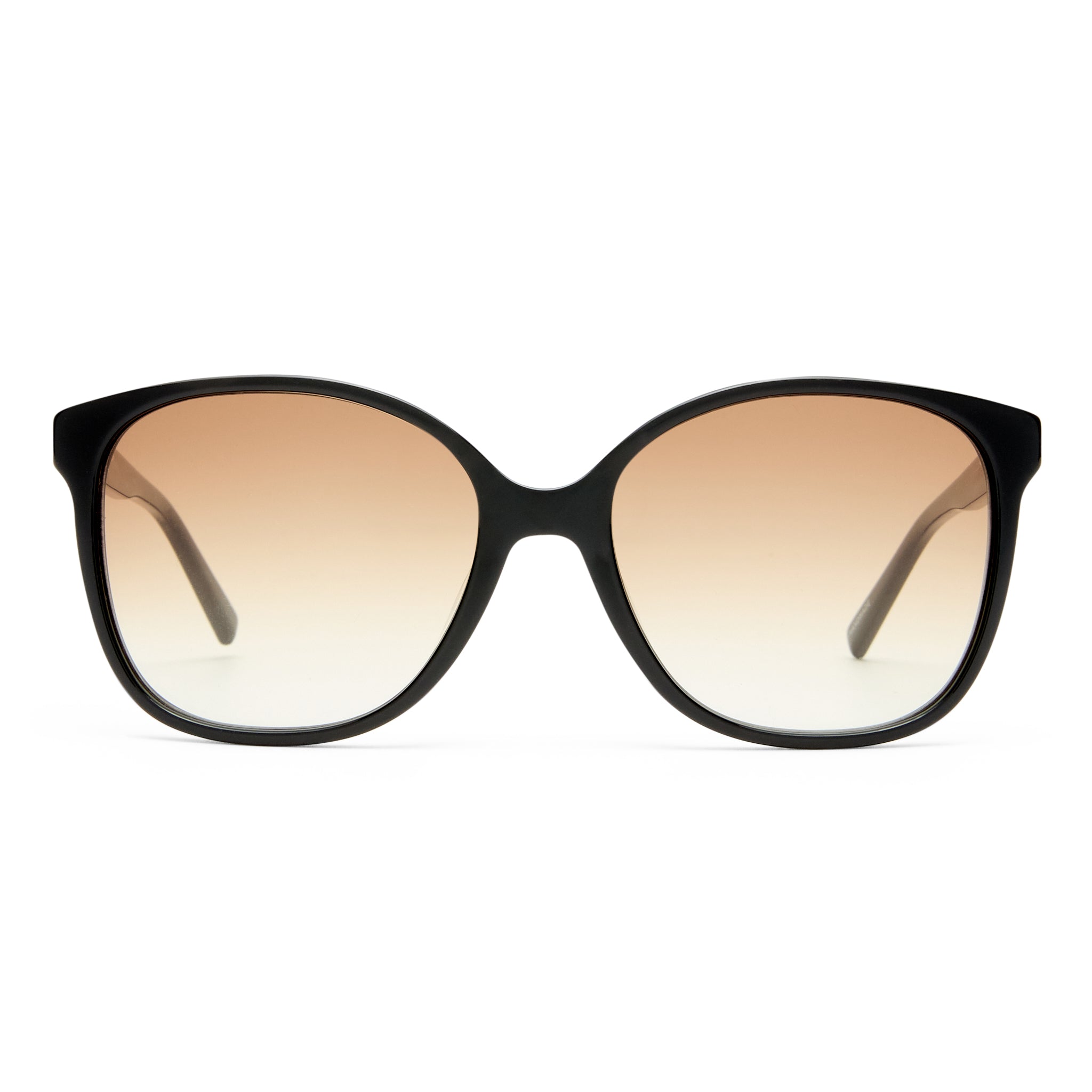 Oroton Vespera Black Female Square Sunglasses | Eyewear Index