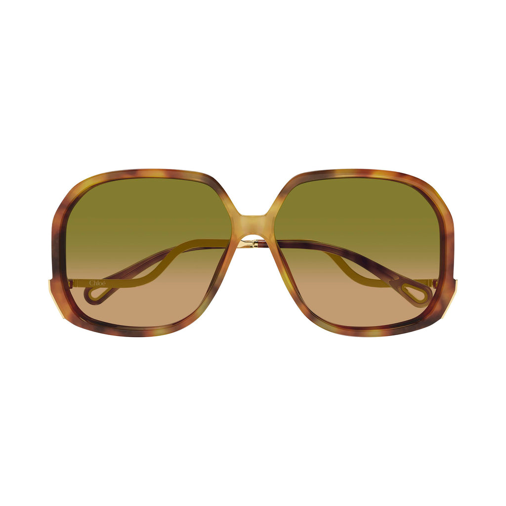 Chloe Ch0404s Havana Female Butterfly Sunglasses | Eyewear Index