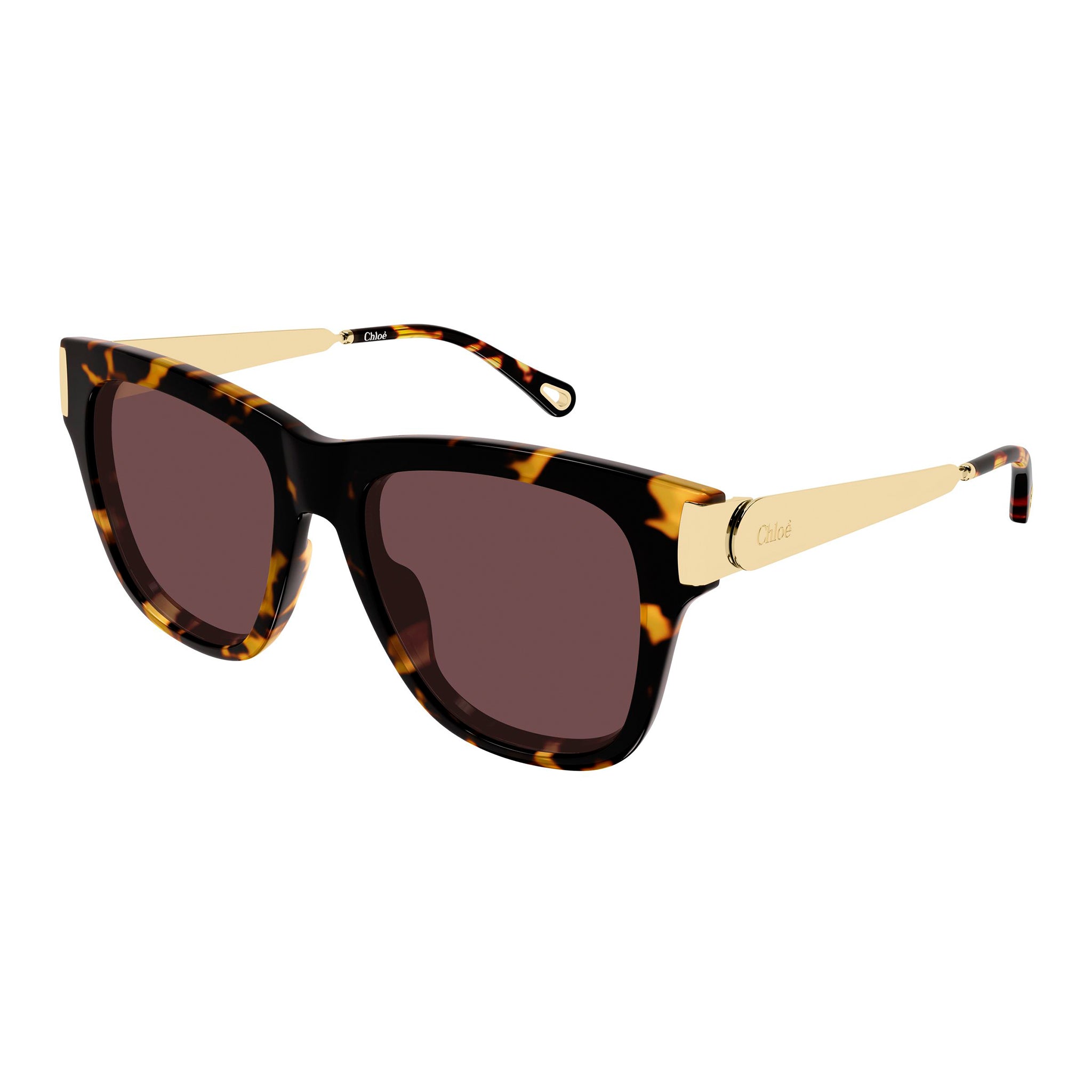 Chloe Ch0349s Havana Female Cat-Eye Sunglasses | Eyewear Index