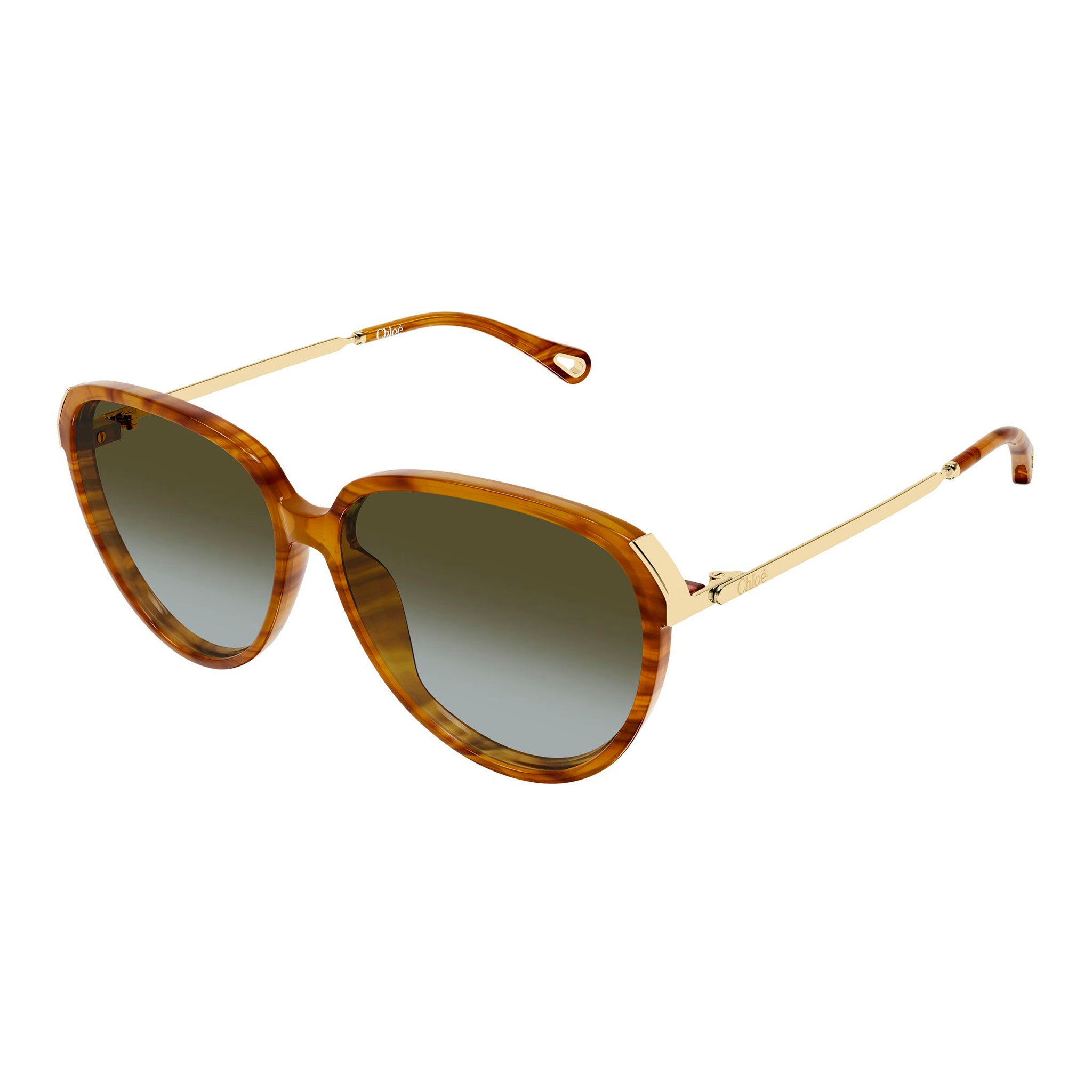 Chloe Ch0406s Havana Female Round Sunglasses | Eyewear Index