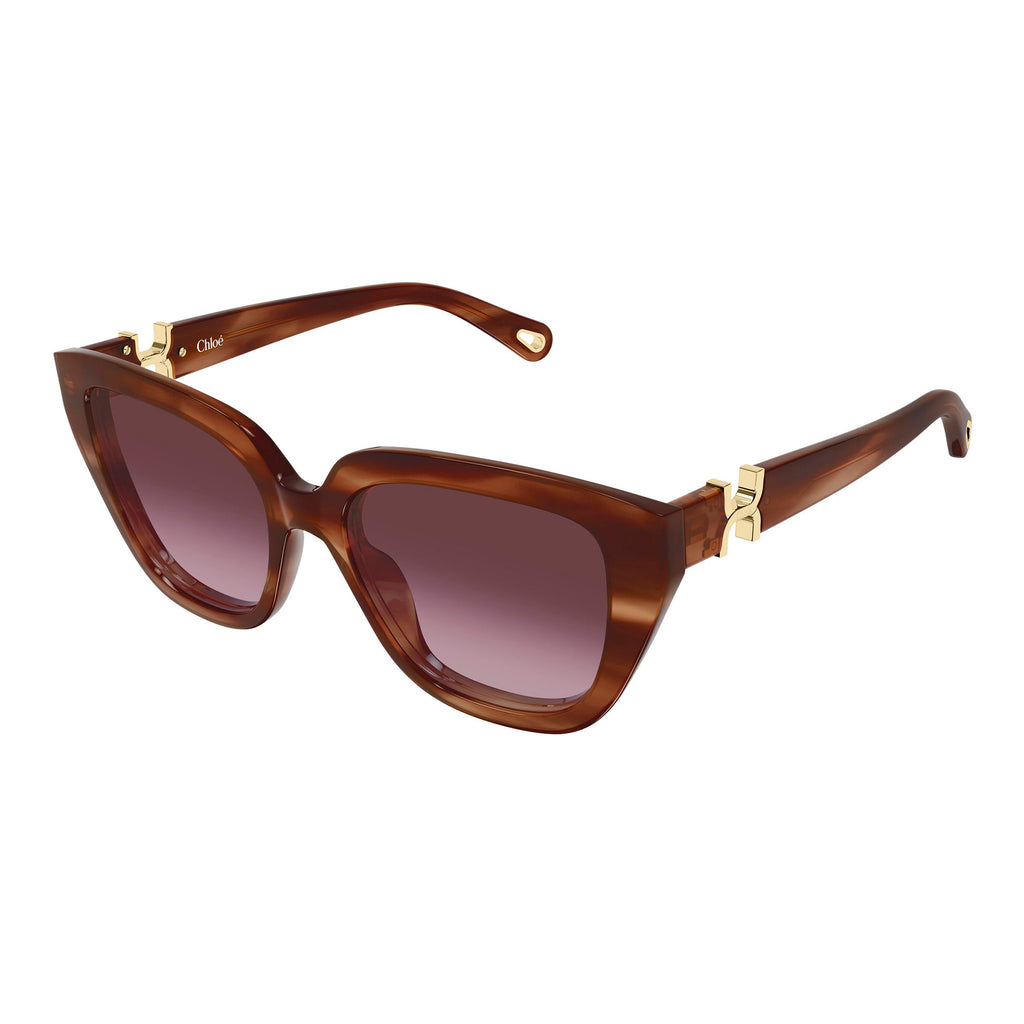Chloe Ch0410s Havana Female Cat-Eye Sunglasses | Eyewear Index