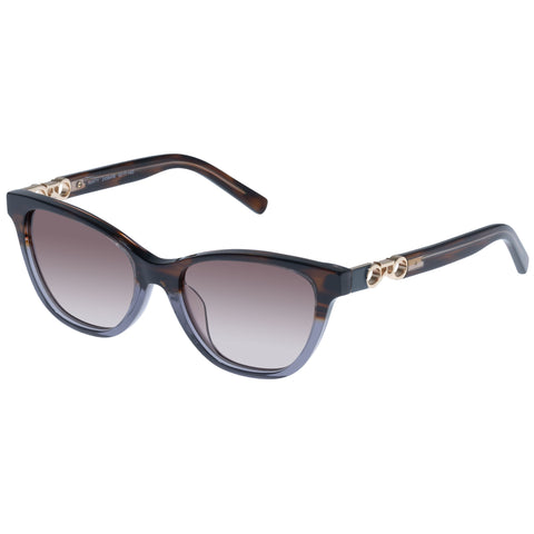 Oroton Berty Mahogany Haze Female Cat-Eye Sunglasses | Eyewear Index