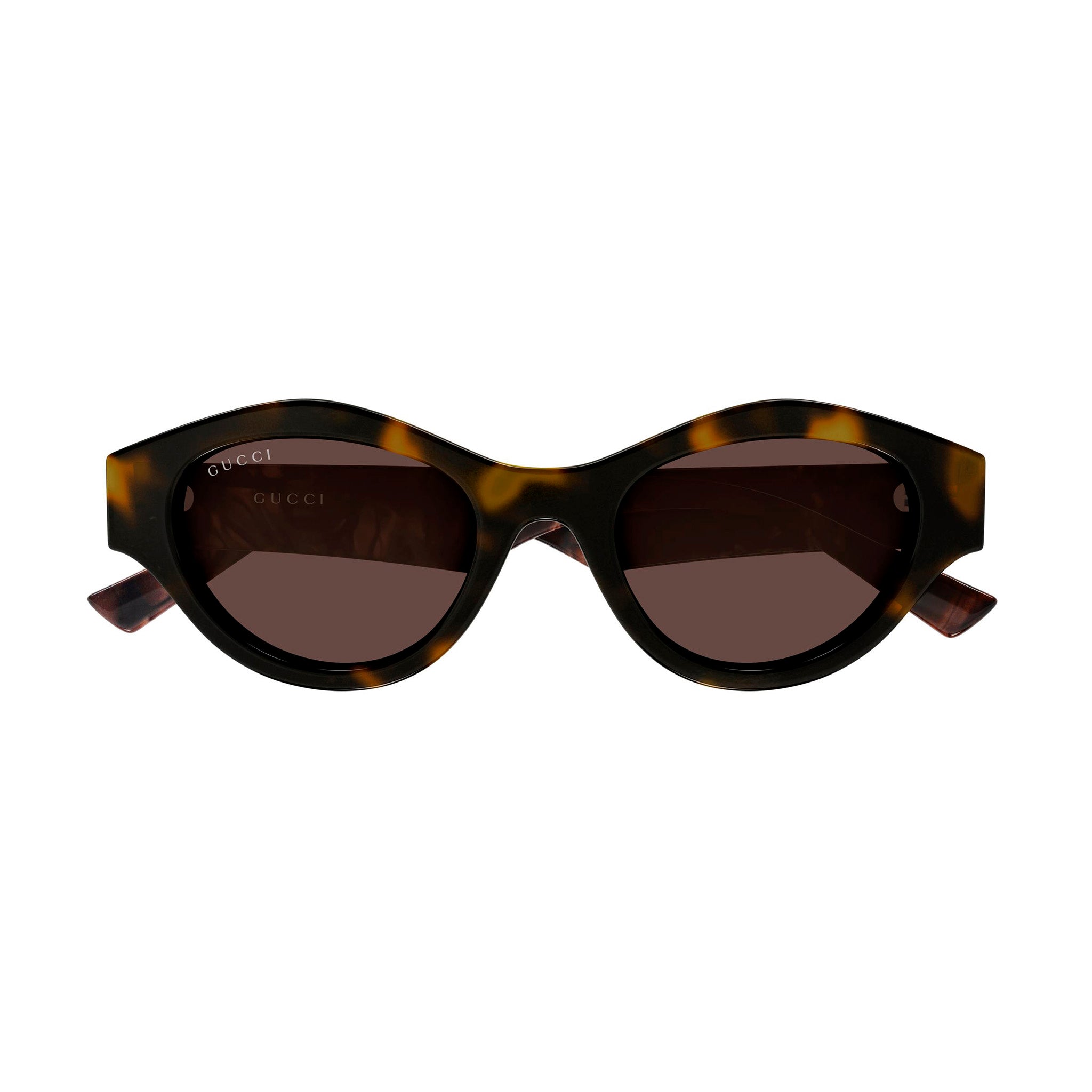 Gucci Gg2207s Havana Female Cat-Eye Sunglasses | Eyewear Index