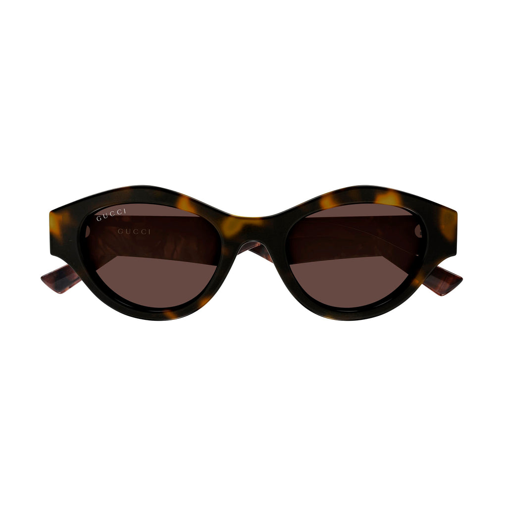 Gucci Gg2207s Havana Female Cat-Eye Sunglasses | Eyewear Index