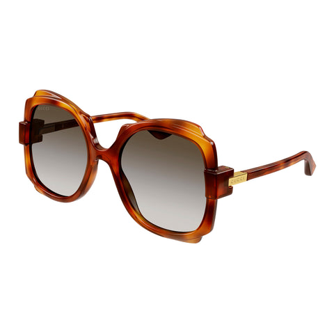 Gucci Gg1431s Havana Female Round Sunglasses | Eyewear Index