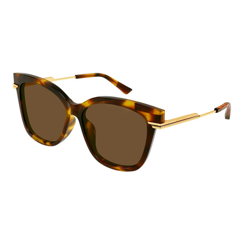 Bottega Veneta Bv1296sa Havana Female Cat-Eye Sunglasses | Eyewear Index