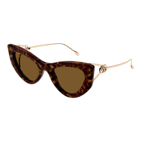 Gucci Gg1565s Havana Female Cat-Eye Sunglasses | Eyewear Index