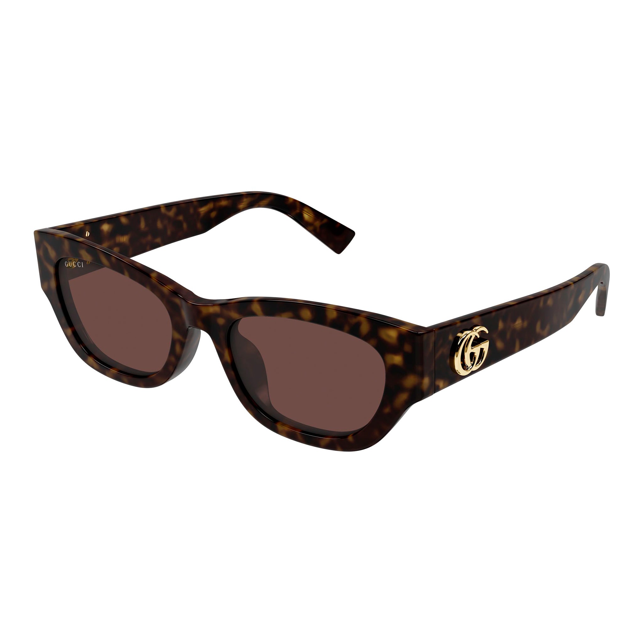 Gucci Gg1954sa Havana Female Cat-Eye Sunglasses | Eyewear Index