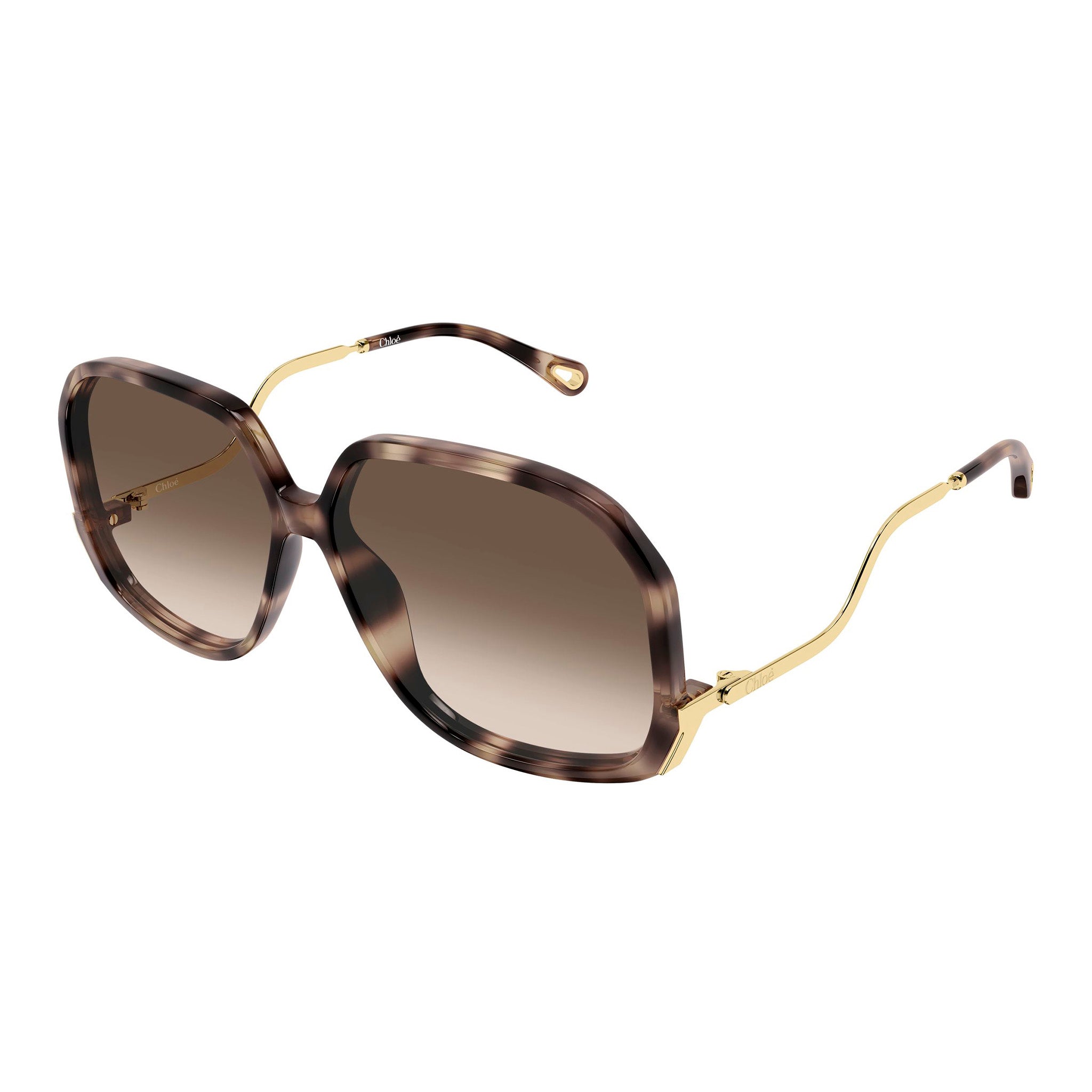 Chloe Ch0404s Havana Female Butterfly Sunglasses | Eyewear Index