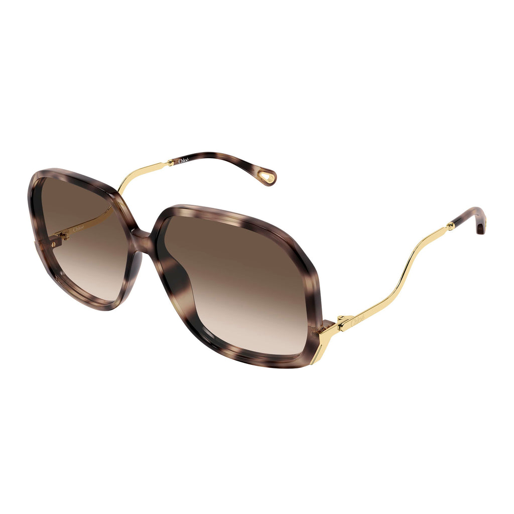 Chloe Ch0404s Havana Female Butterfly Sunglasses | Eyewear Index