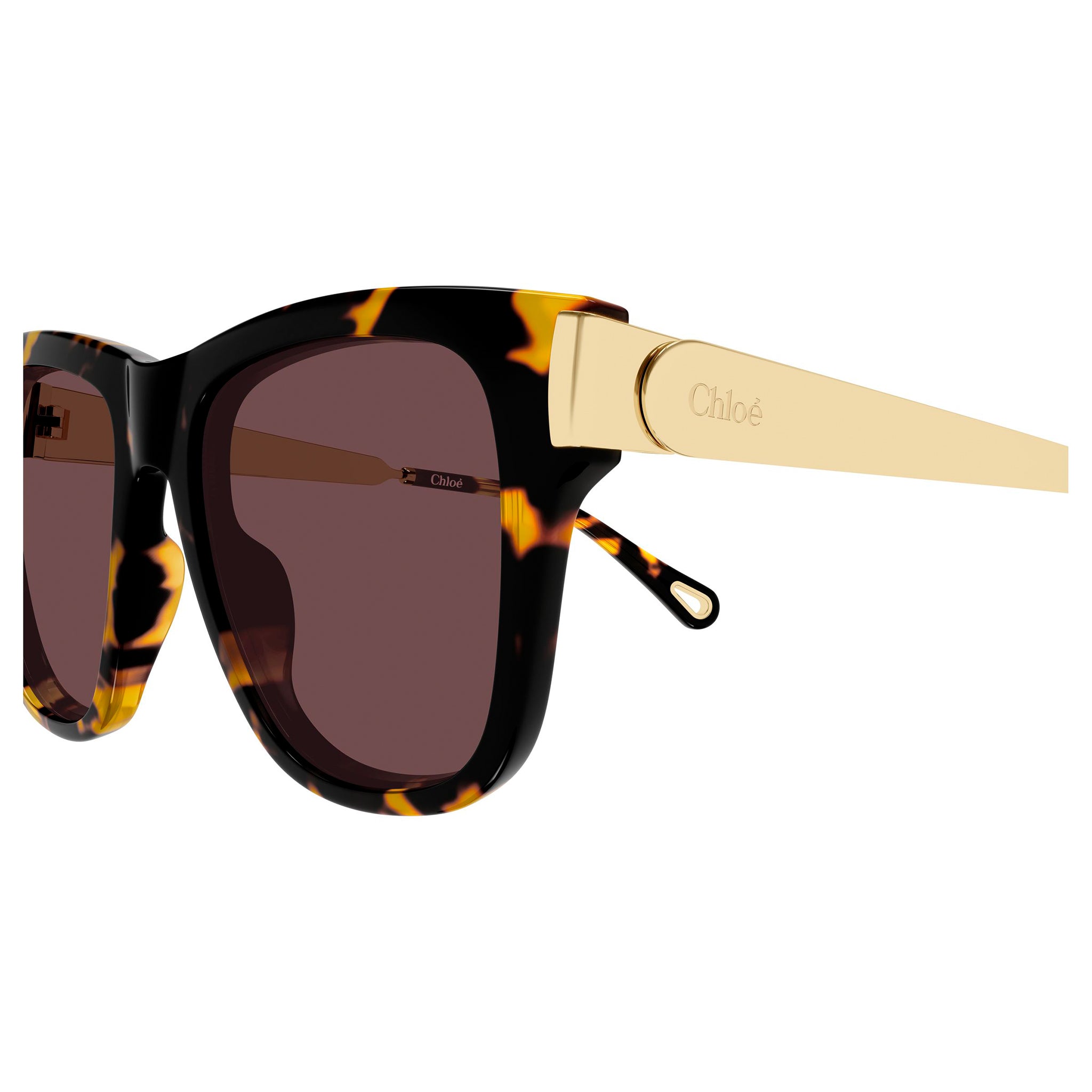 Chloe Ch0349s Havana Female Cat-Eye Sunglasses | Eyewear Index