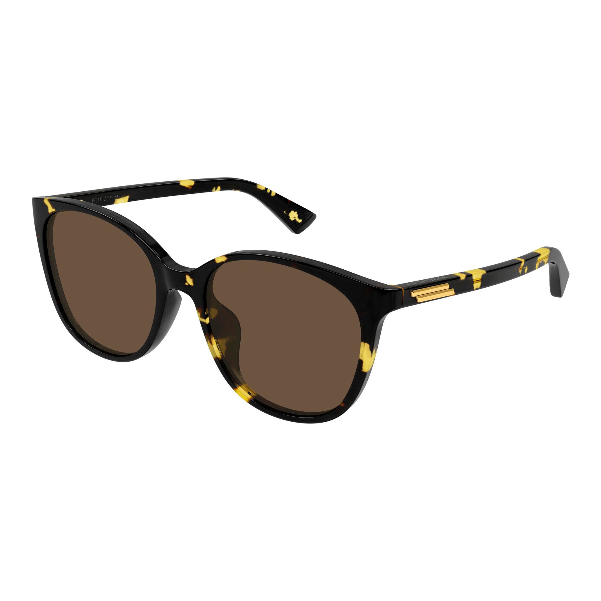 Bottega Veneta Bv1515sk Havana Female Cat-Eye Sunglasses | Eyewear Index