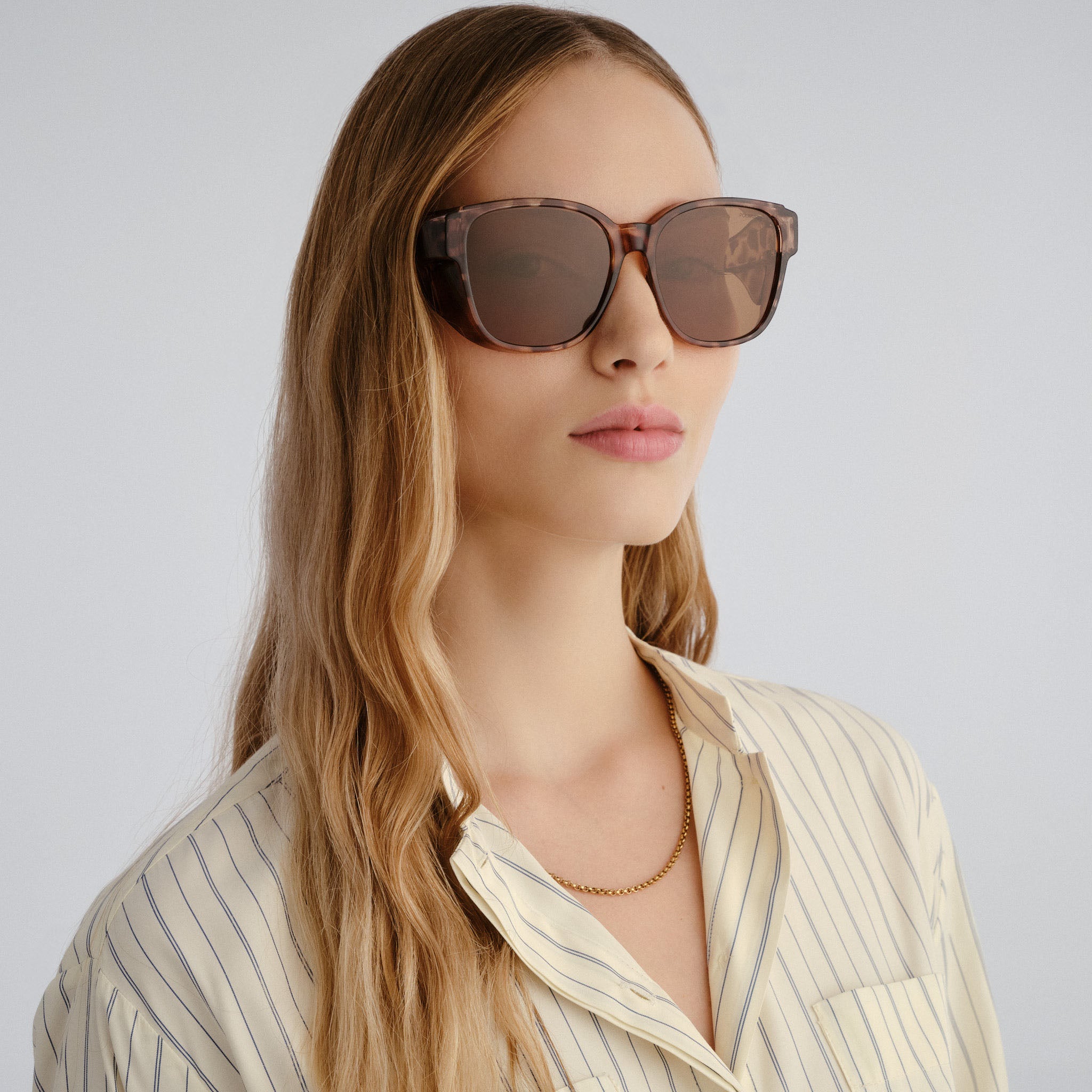 Cancer Council Dunsborough Milky Tort Female D-Frame Sunglasses | Eyewear Index