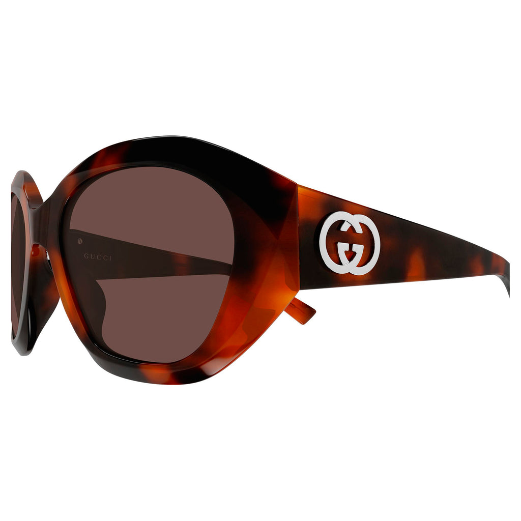 Gucci Gg2200s Havana Female Cat-Eye Sunglasses | Eyewear Index