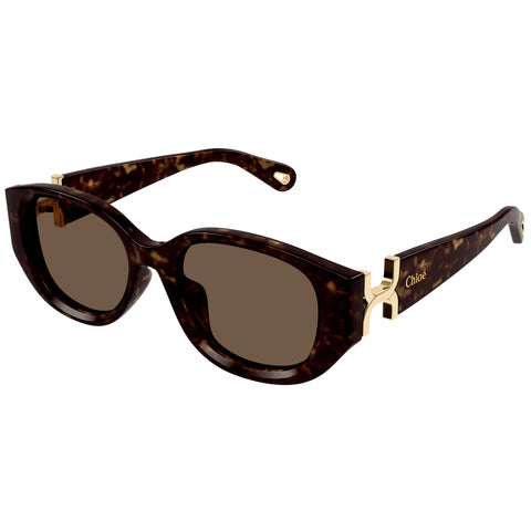 Chloe Ch0237sk Havana Female Round Sunglasses | Eyewear Index