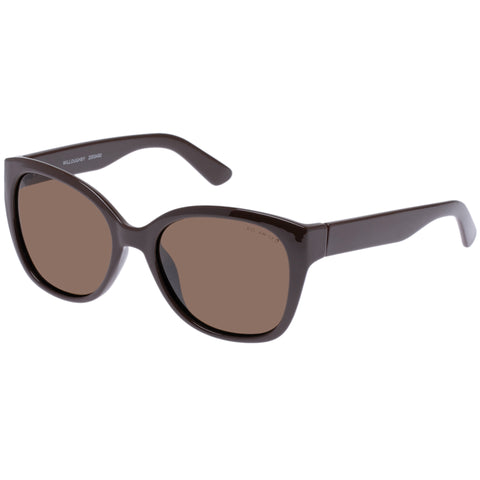 Cancer Council Willoughby Chocolate Female Cat-Eye Sunglasses | Eyewear Index