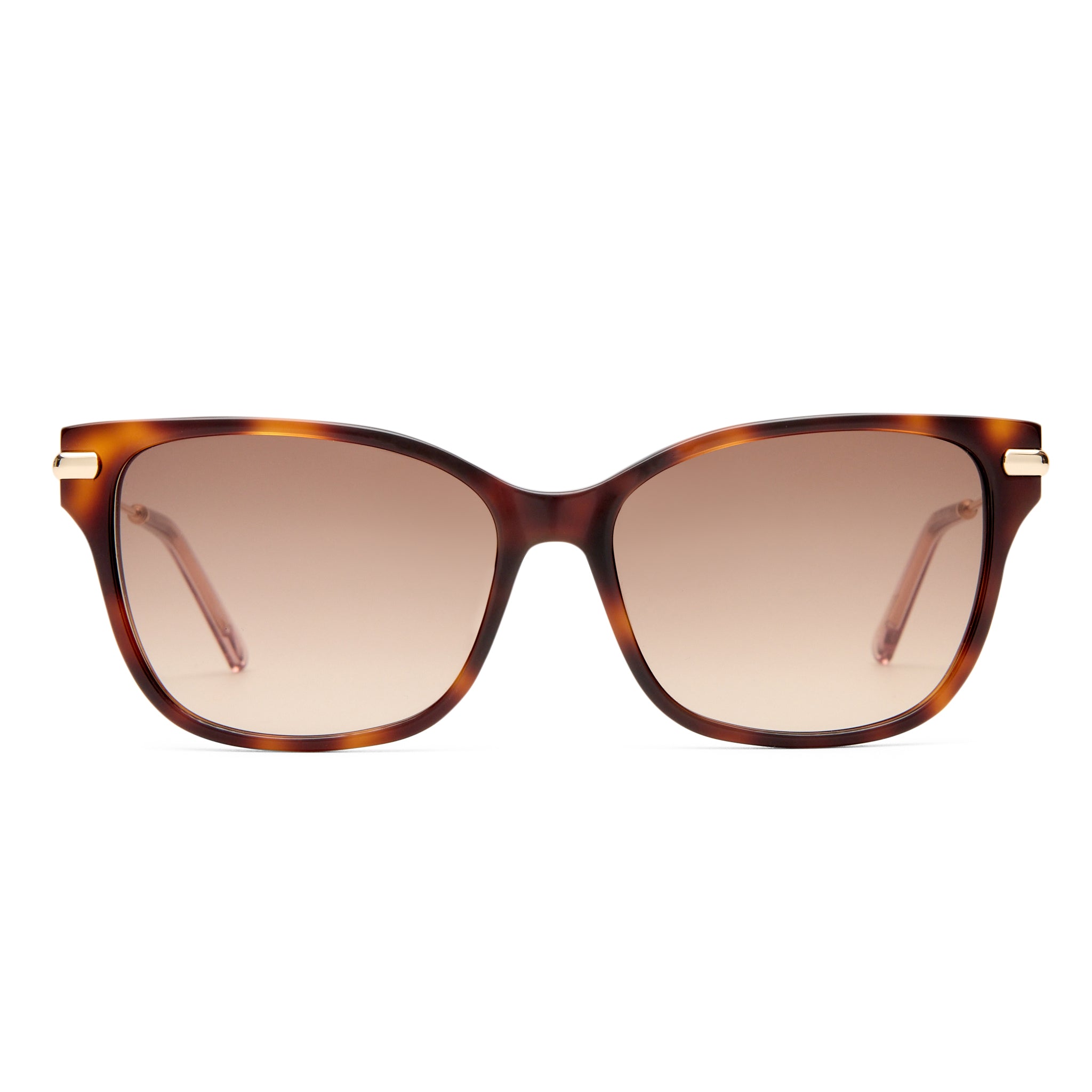 Oroton Mariselle Signature Tort Female Cat-Eye Sunglasses | Eyewear Index