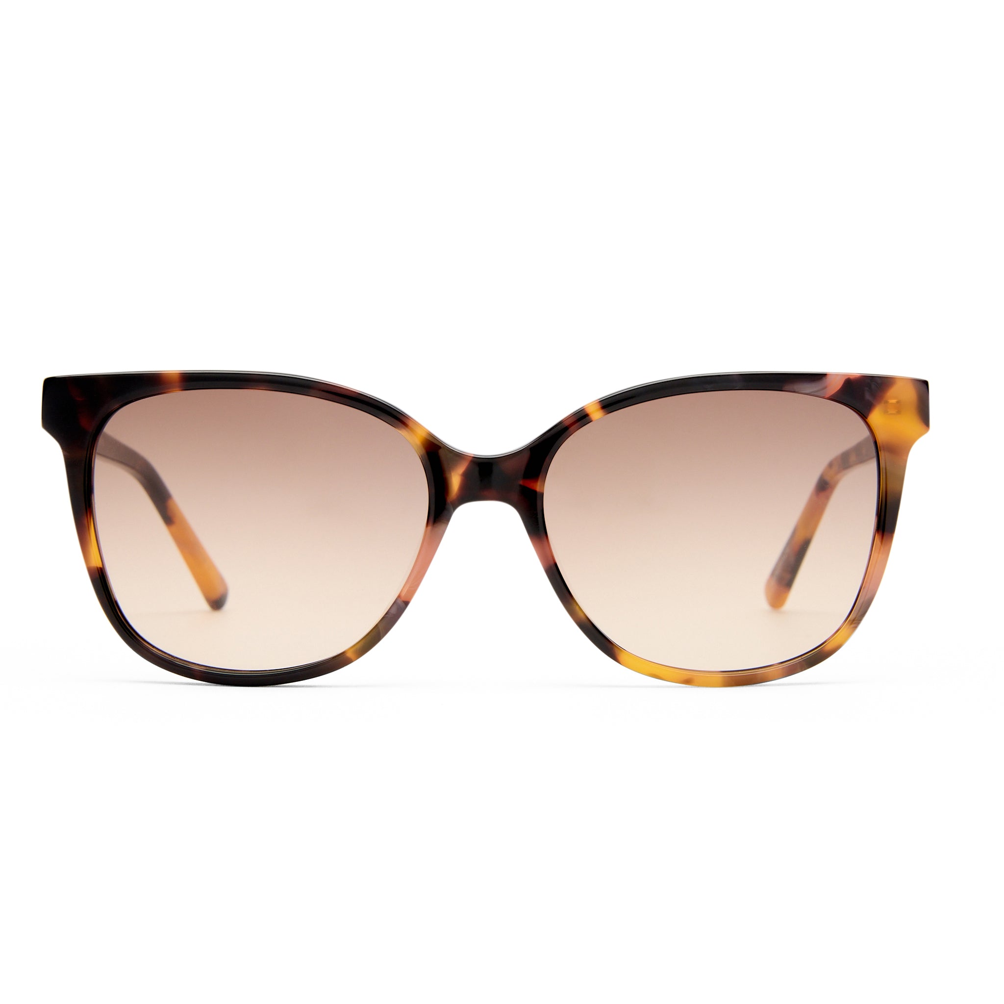 Oroton Uma Amberstone Tort Female D-Frame Sunglasses | Eyewear Index