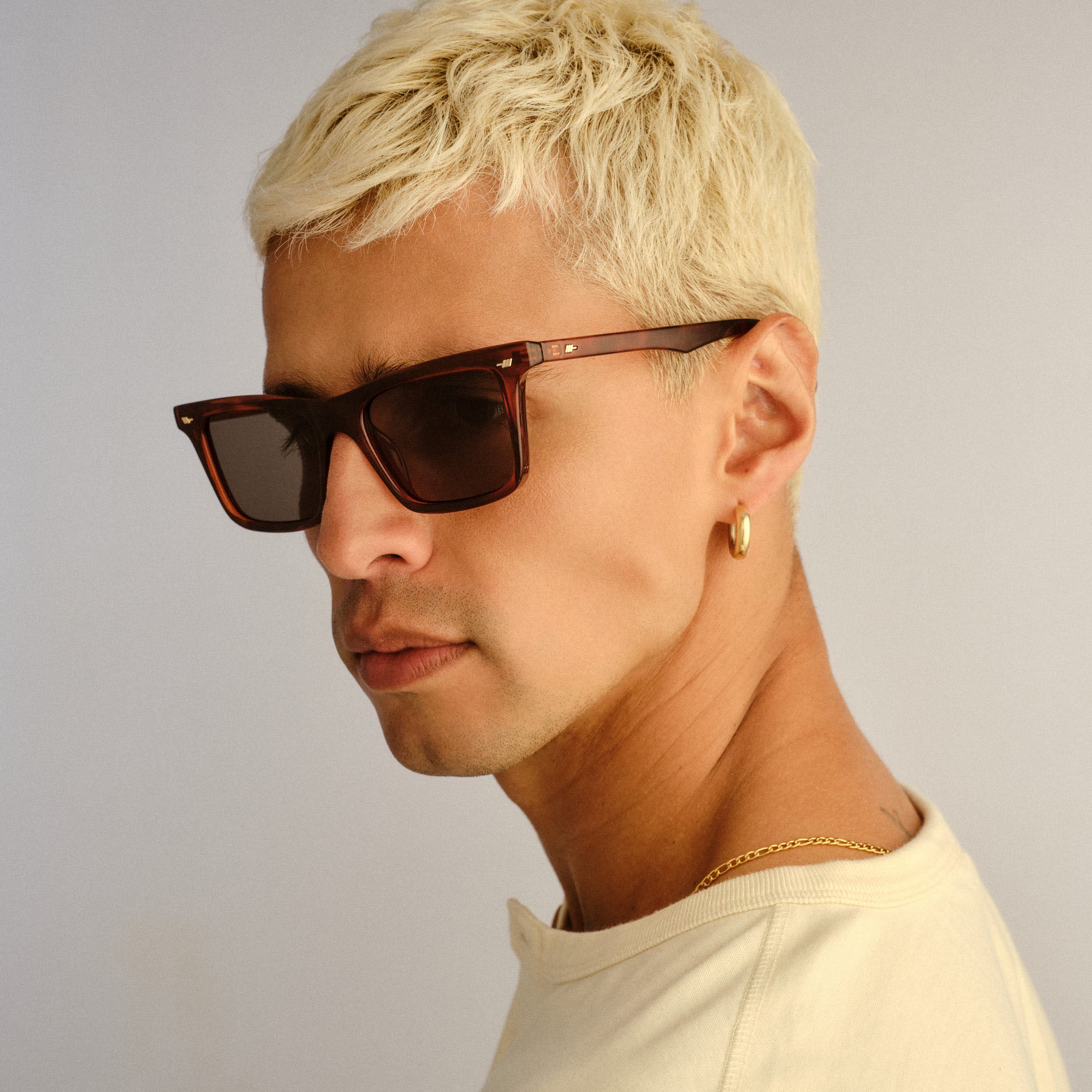 Le Specs Broski Toffee Tort Male D-Frame Sunglasses | Eyewear Index