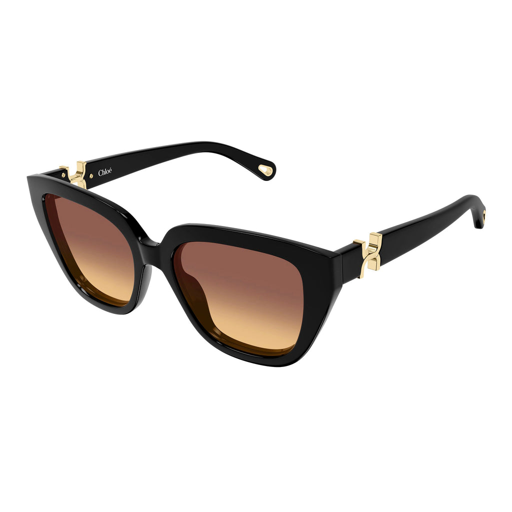 Chloe Ch0410s Black Female Cat-Eye Sunglasses | Eyewear Index