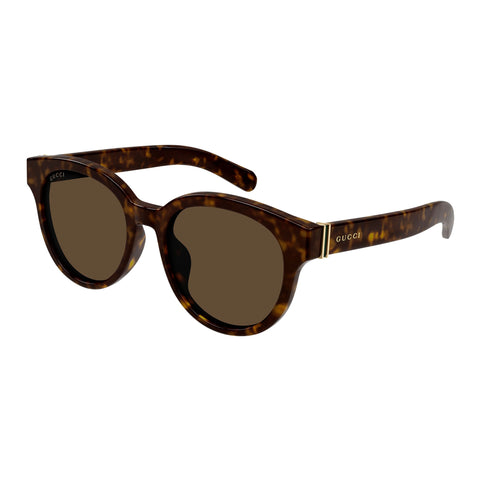 Gucci Gg1511sk Havana Male Round Sunglasses | Eyewear Index