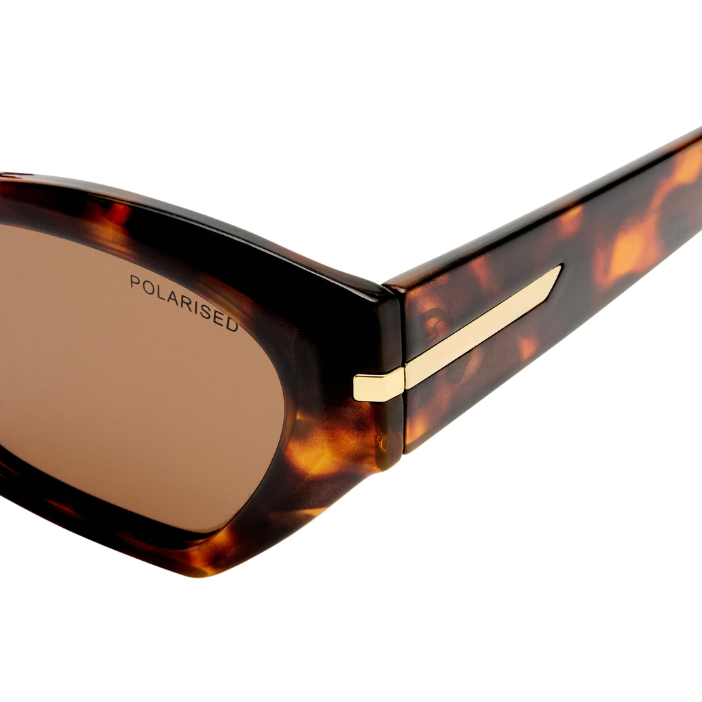 Cancer Council Peregian Amber Tort Female Cat-Eye Sunglasses | Eyewear Index