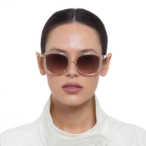 Oroton Dylan Shell Maple Tort Female D-Frame Sunglasses | Eyewear Index