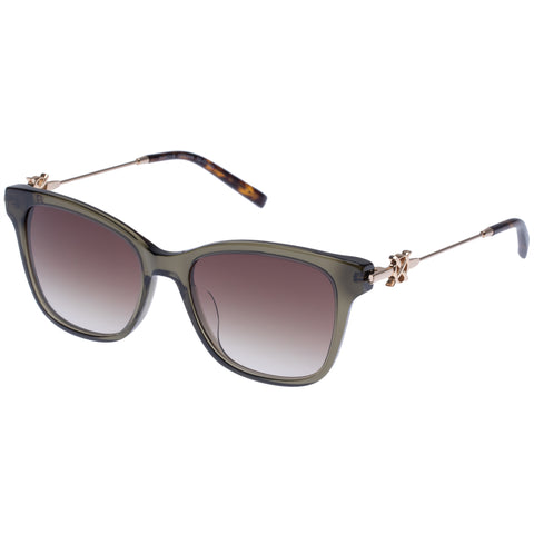 Oroton Female Darcy B Khaki D-frame Sunglasses