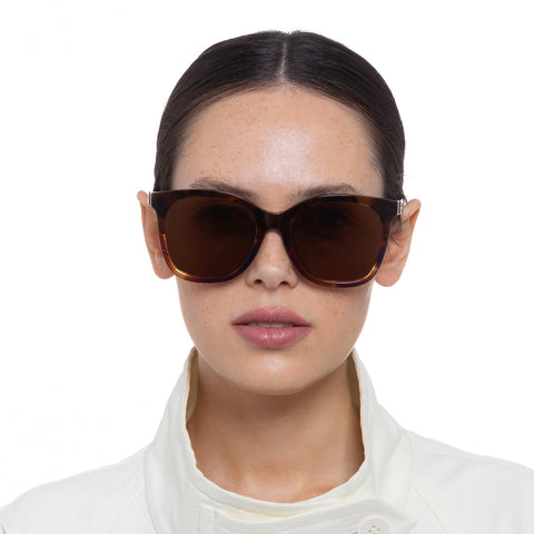 Oroton Female Della Brown D-frame Sunglasses