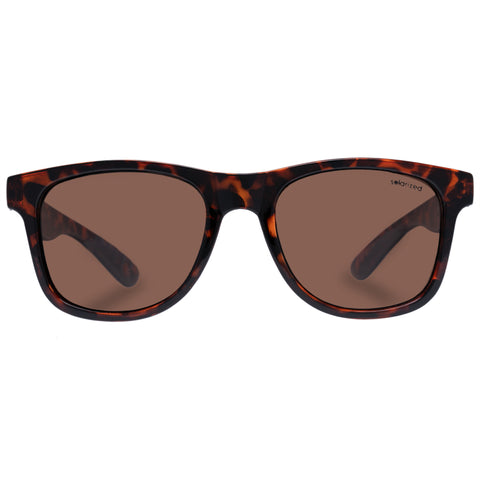 Solarized Uni-sex Rewind Classic Tort D-frame Sunglasses