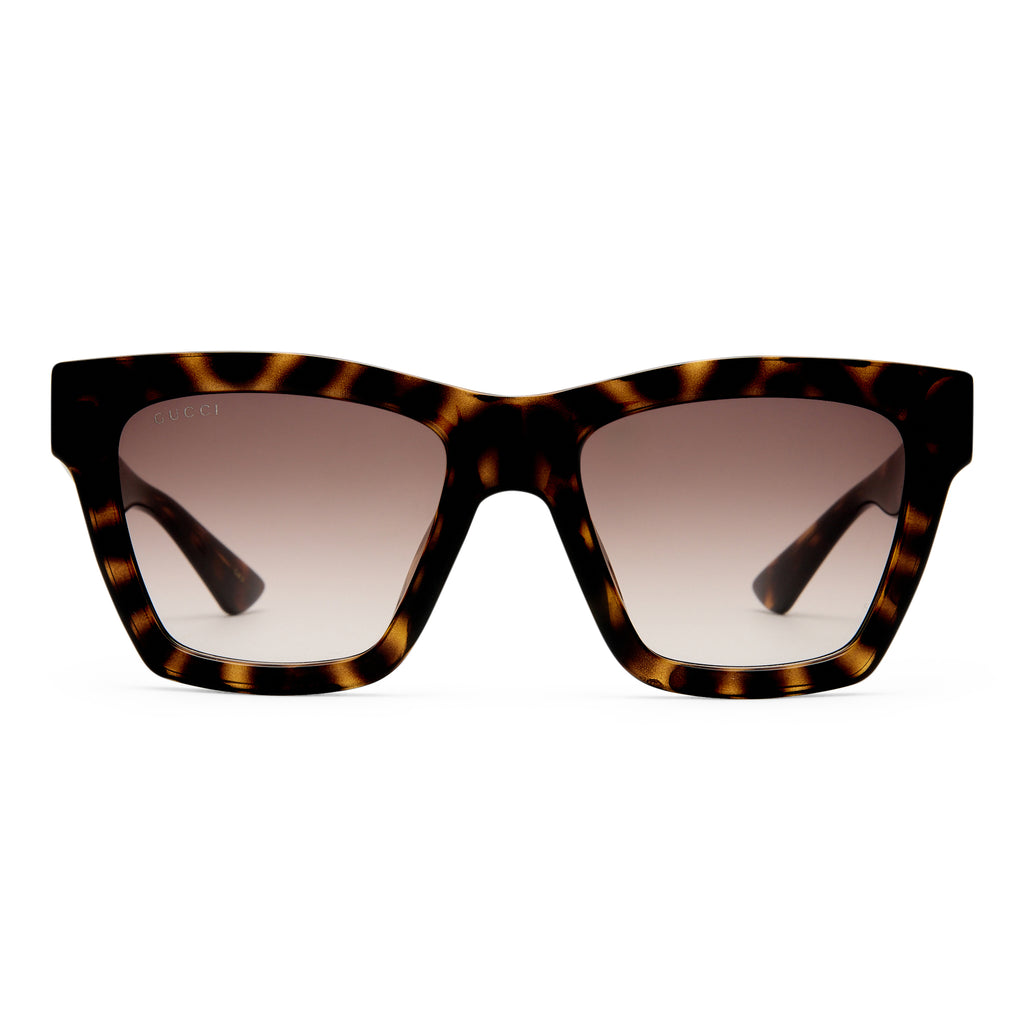 Gucci Gg1714s Havana Female Cat-Eye Sunglasses | Eyewear Index