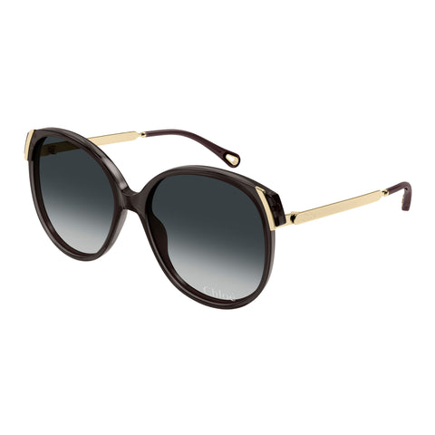 Chloe Sunglasses