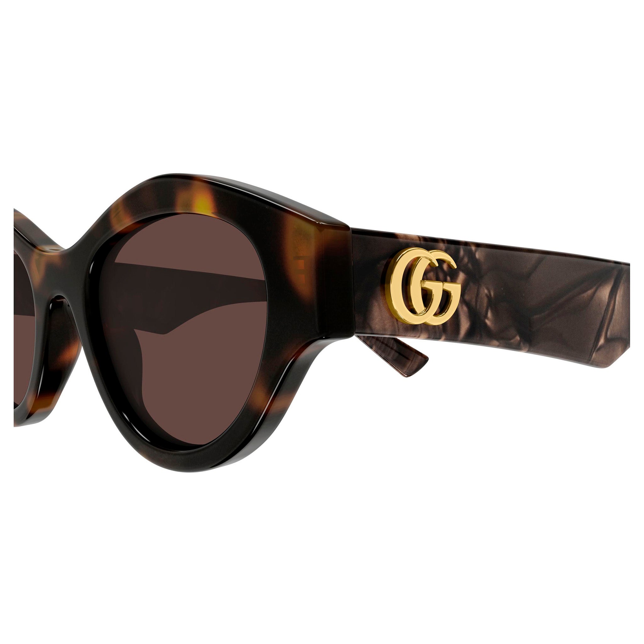 Gucci Gg2207s Havana Female Cat-Eye Sunglasses | Eyewear Index