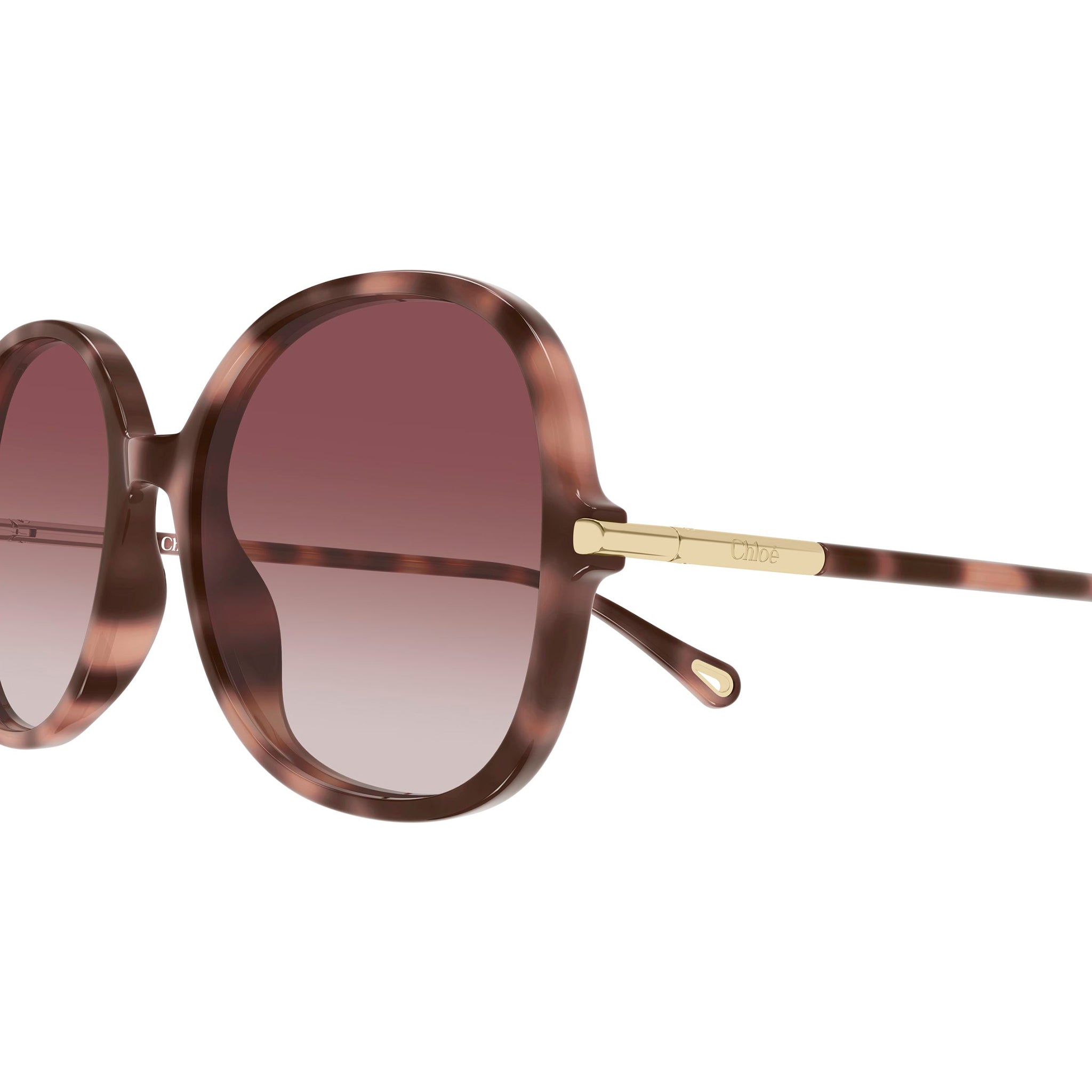 Chloe Ch0383s Havana Female Round Sunglasses | Eyewear Index